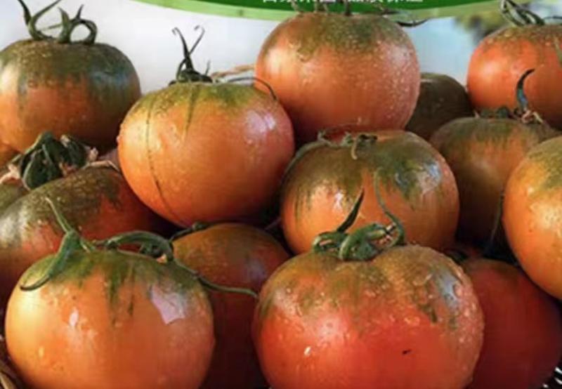 唐山玉田草莓西红柿鲜甜多汁自然成熟产地直发品质保证