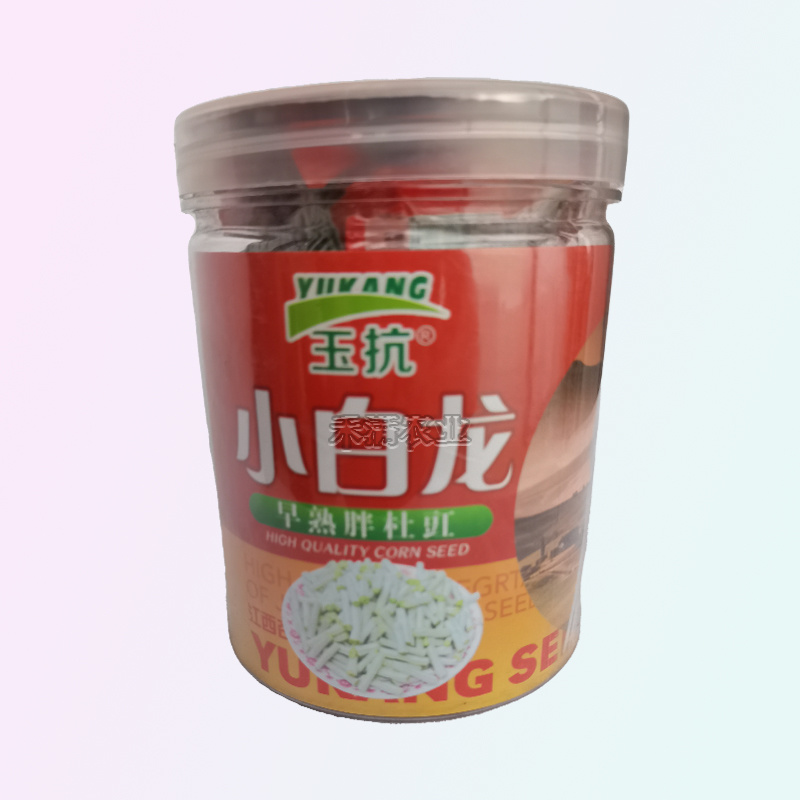高产白豆角种子早熟爬藤小白龙豇豆种籽春秋二季豇豆种子