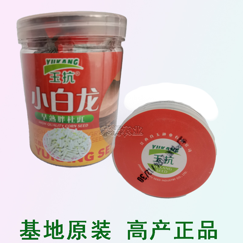 高产白豆角种子早熟爬藤小白龙豇豆种籽春秋二季豇豆种子