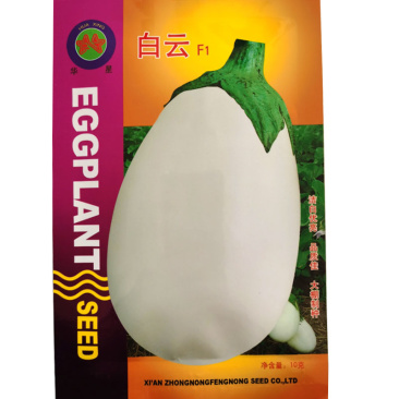 白云茄种子白罐茄种子长椭圆形白蛋茄种籽抗病白茄子种子