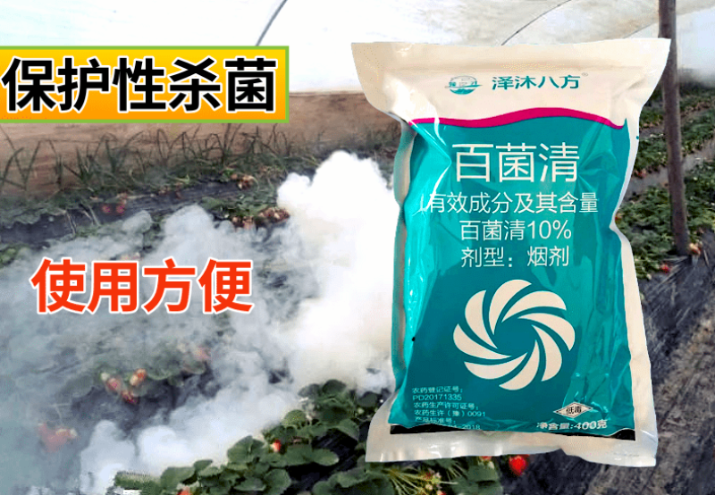 10%百菌清烟雾剂大棚蔬菜烟熏剂霜霉病白粉病真菌杀菌剂