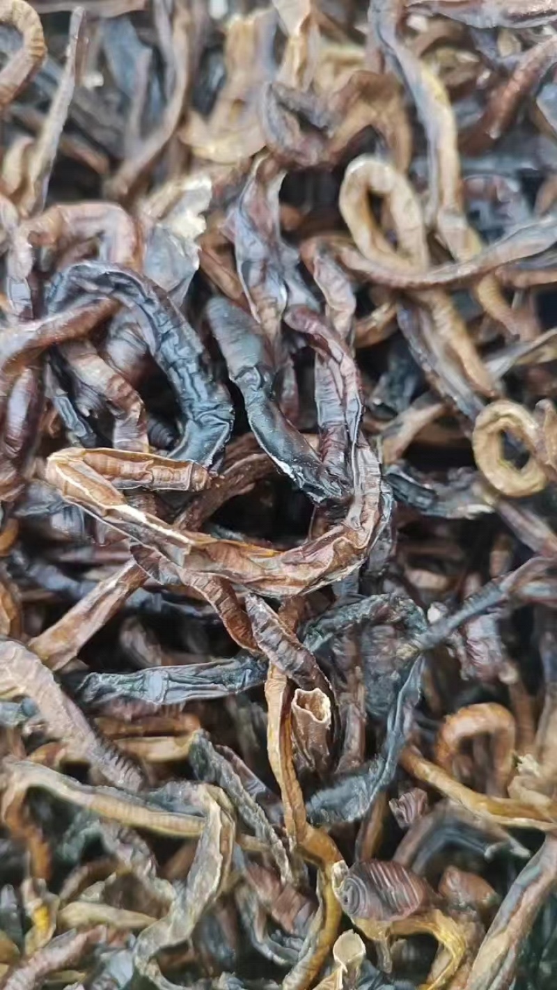 徐州精品地龙，产地直发，保质保量，欢迎老板选购