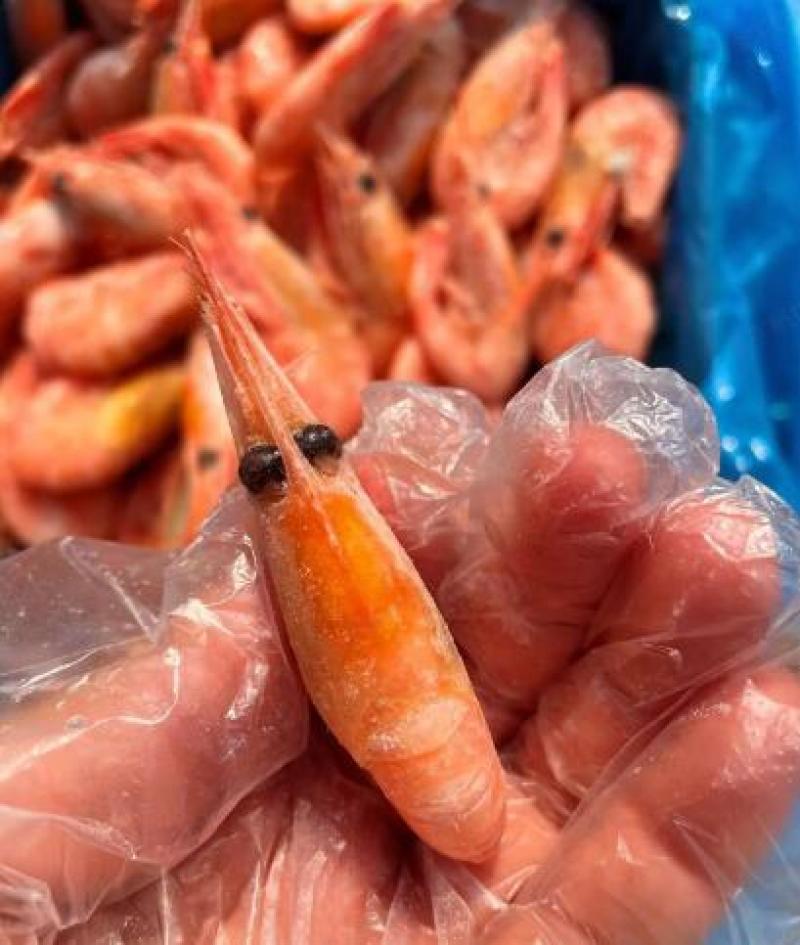 北极甜虾品质保证产地直发可视频看货欢迎咨询
