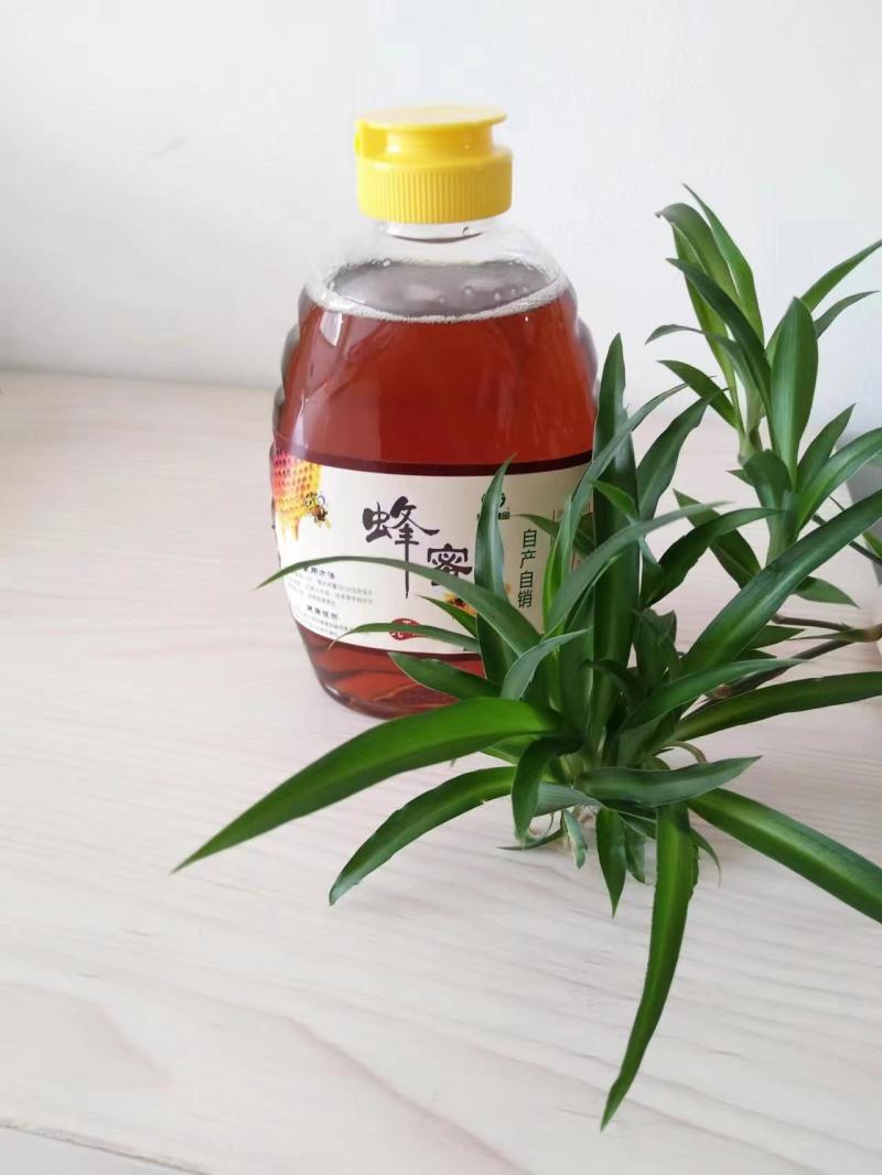 【树参蜜】江西蜂蜜农家自产纯度高，品质保证，价格美丽
