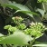 【树参蜜】江西蜂蜜农家自产纯度高，品质保证，价格美丽