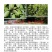 【树参蜜】江西蜂蜜农家自产纯度高，品质保证，价格美丽