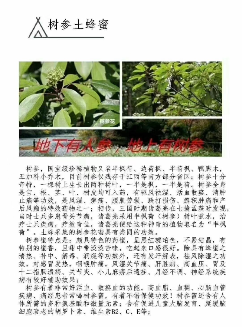 【树参蜜】江西蜂蜜农家自产纯度高，品质保证，价格美丽