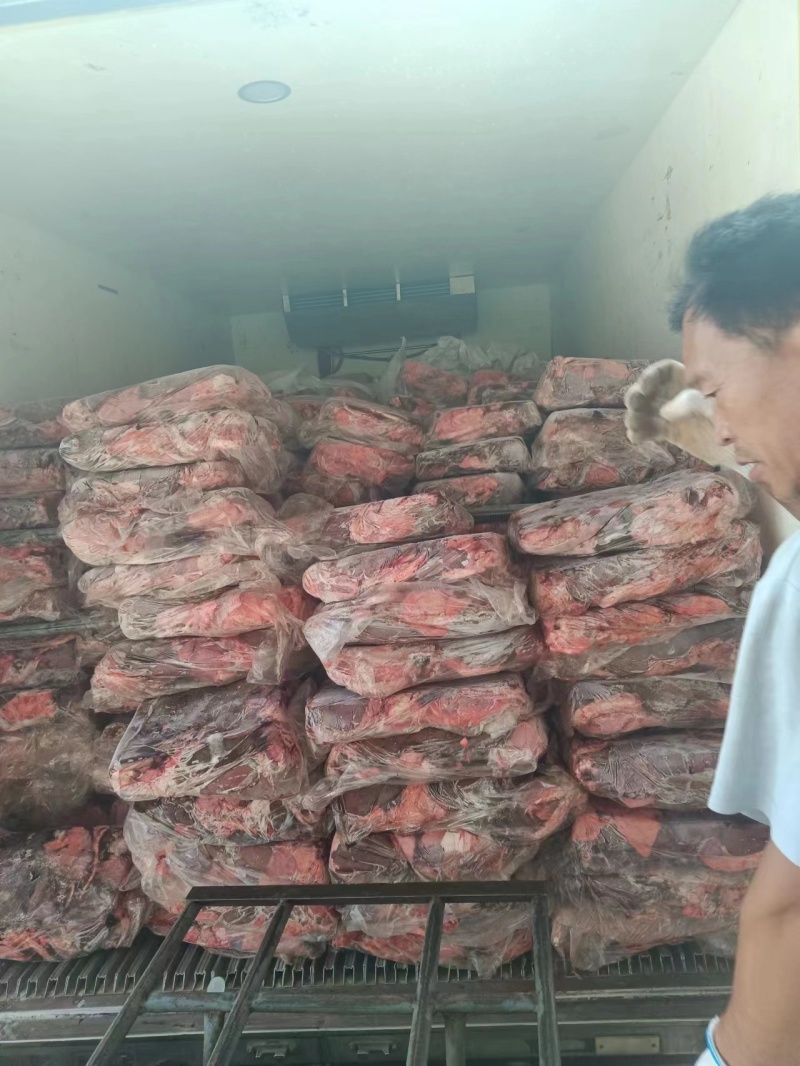 心肝肺实力供货线上看保质保量以质论价货源充足