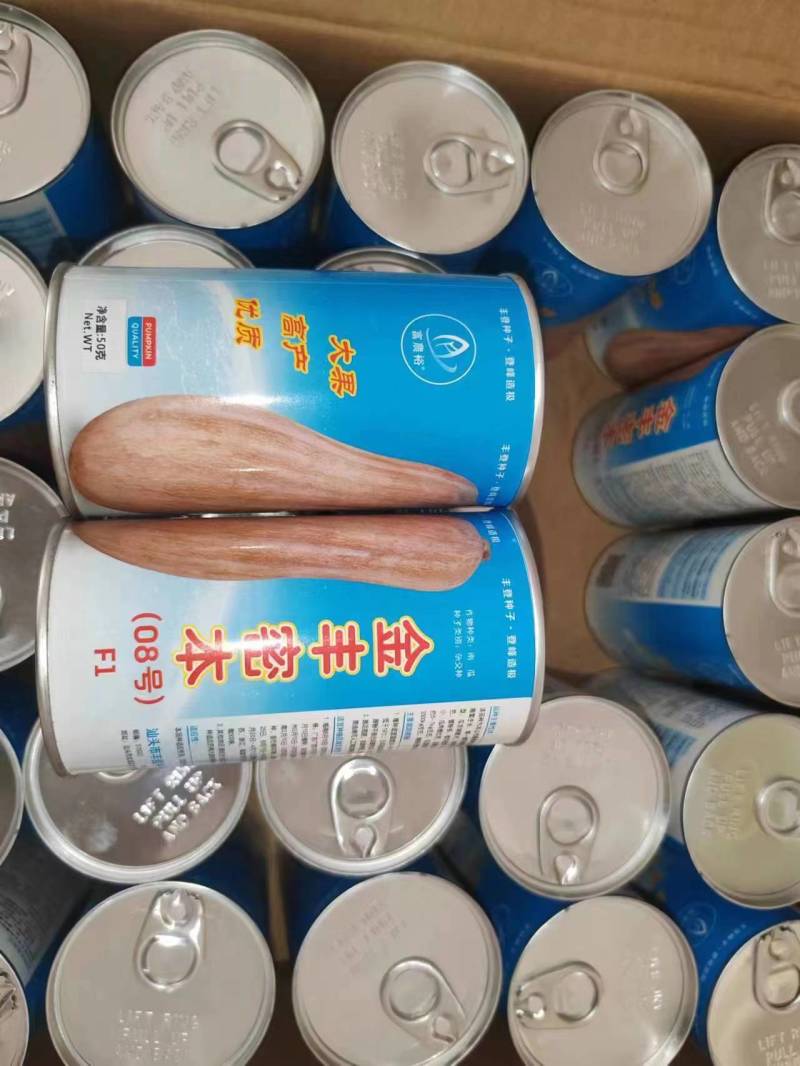 大果蜜本南瓜种子