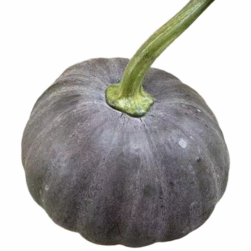 特色小南瓜种子口感好较有香芋味趴地露地中早熟糯而香甜蔬菜