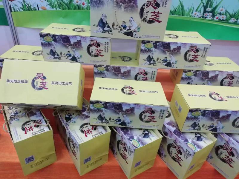 深山老林紫灵芝广西桂林一手货源产地直发欢迎电联