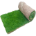 绿化草皮工程真草坪带泥土四季常青台湾草矮生马尼拉剪股颖别