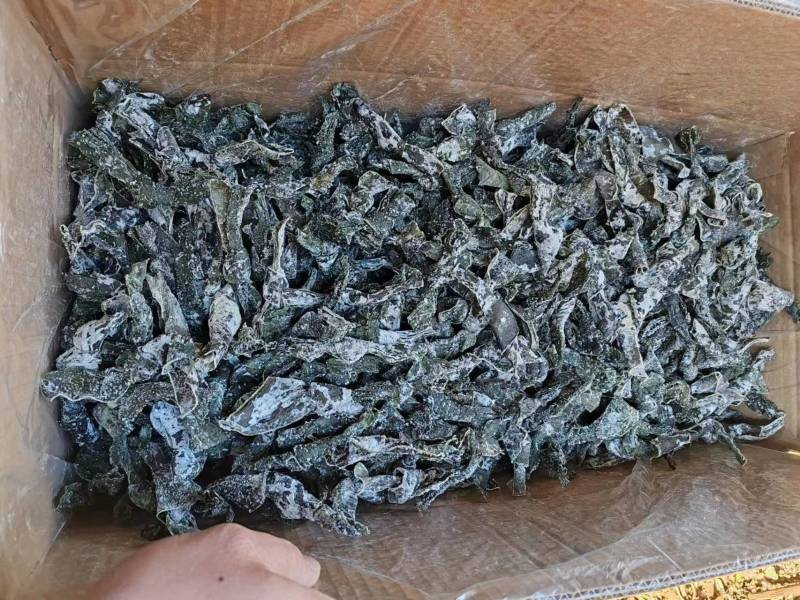 海带结，海带扣货源充足产地直销一手货源批发全国市场需求