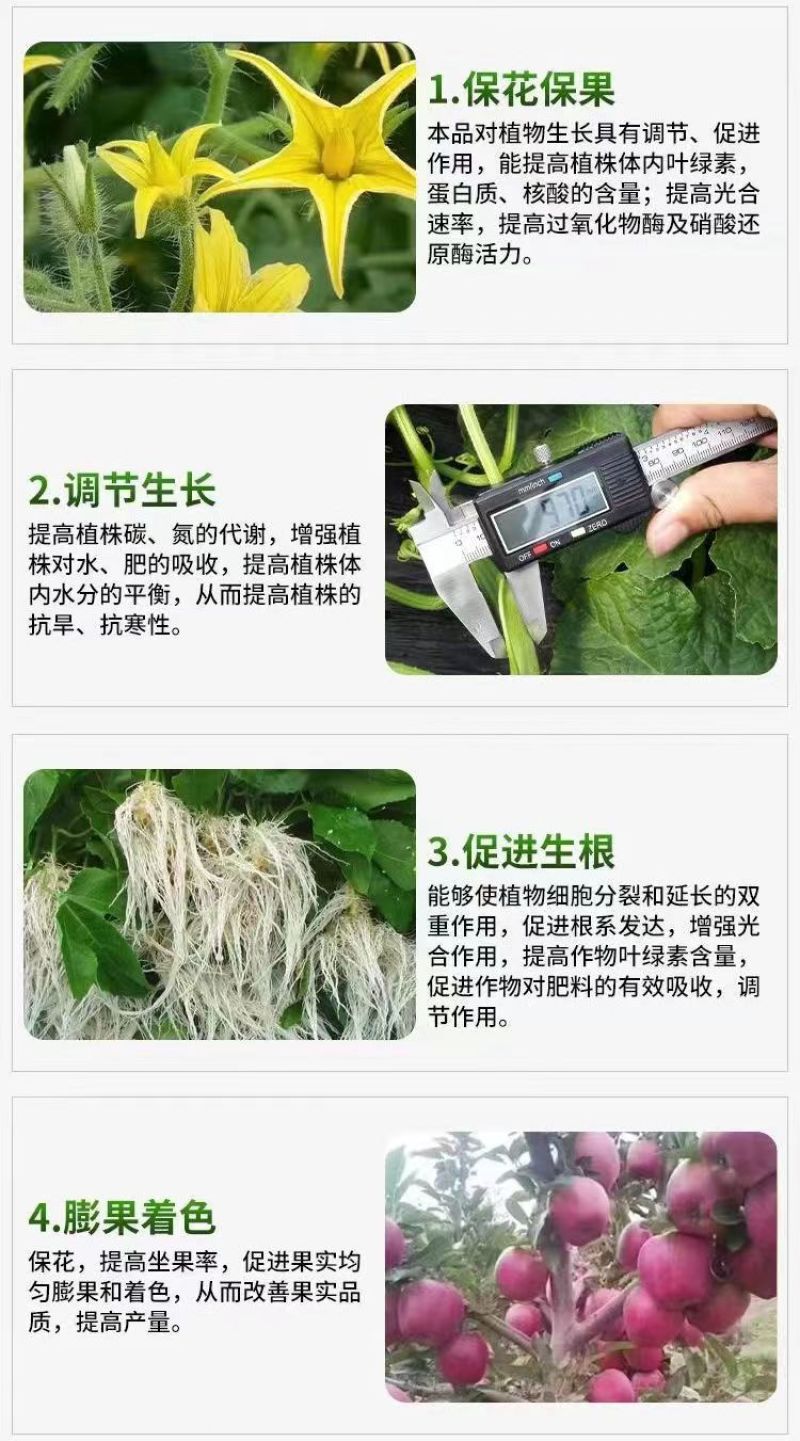 8%胺鲜酯生长调节剂促进着色上色催红剂抗逆抗寒抗冻保花保