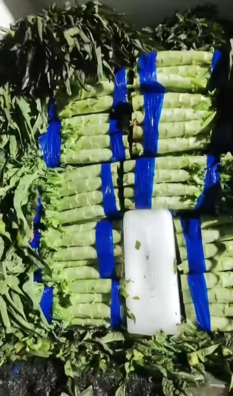山东临沂红尖叶莴笋大量有货，品质保证，欢迎来电采购