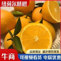 【精品】湖北脐橙纽荷尔脐橙一手货果园现货视频看货