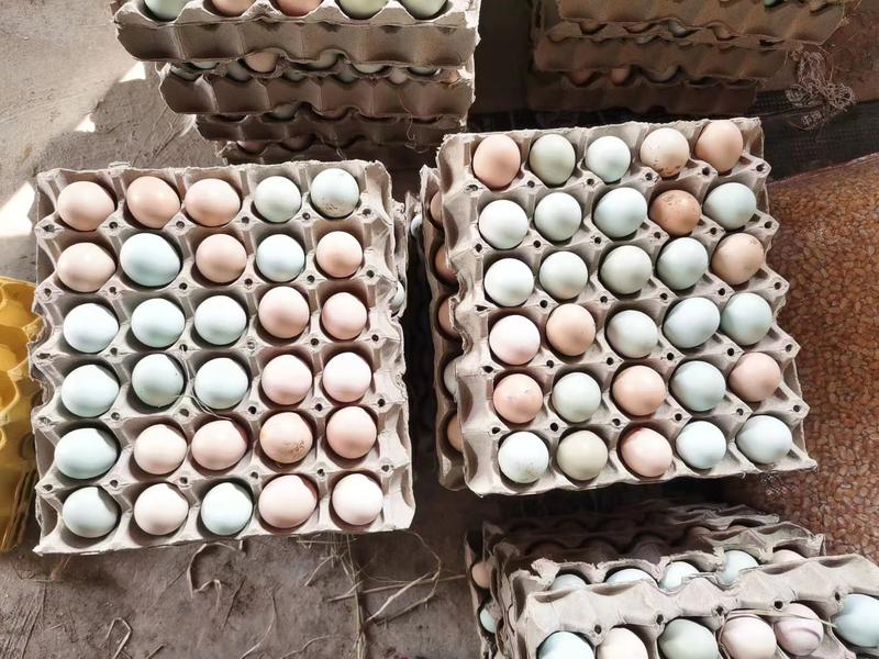 湖北农村散养土鸡蛋，物美价优，欢迎大家来电咨询