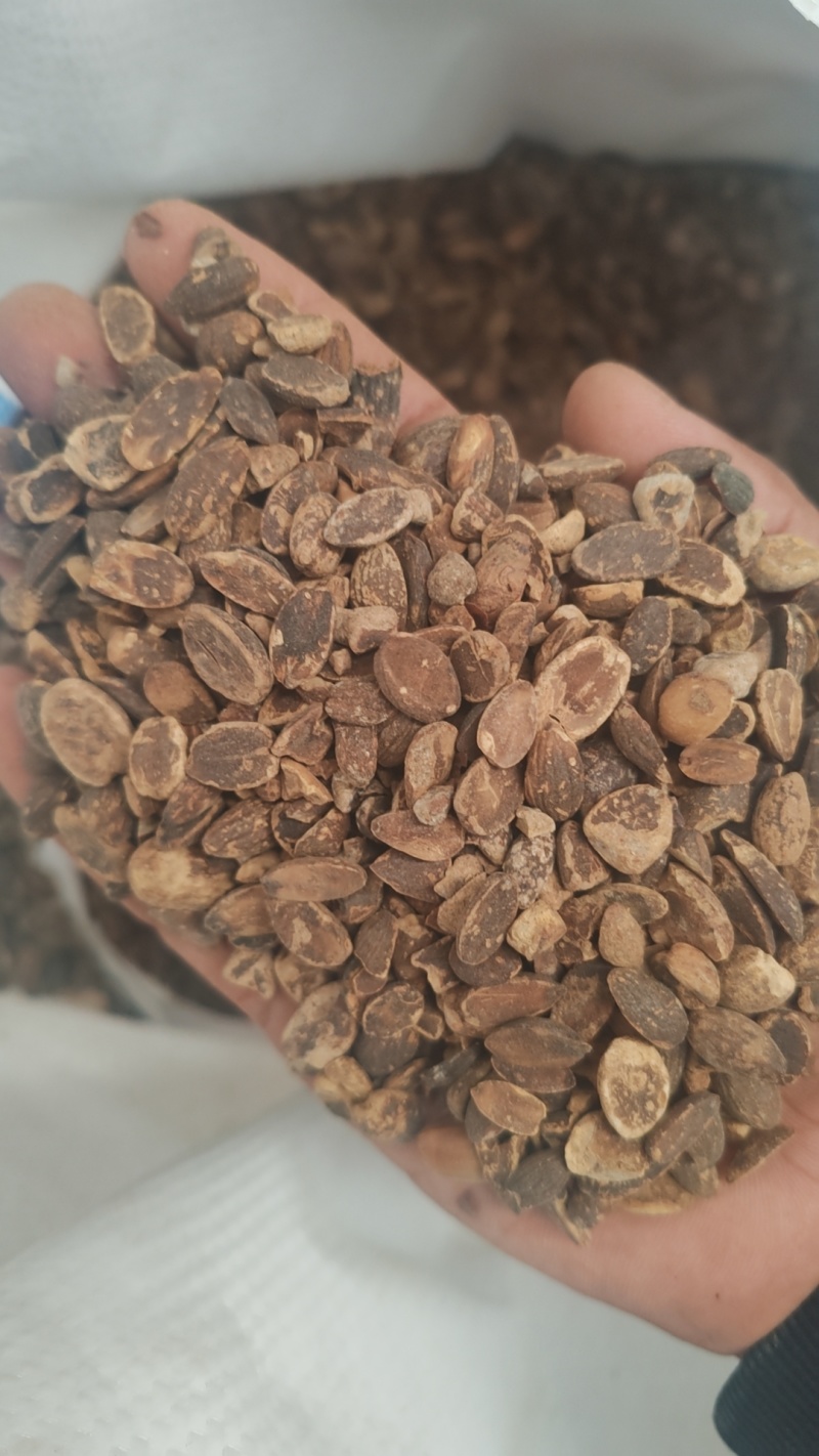 河南米橡仁质量保证产地直发可视频看货欢迎咨询