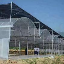 天津优质养殖大棚，种植连体玻璃大棚规格齐全大量供应品质
