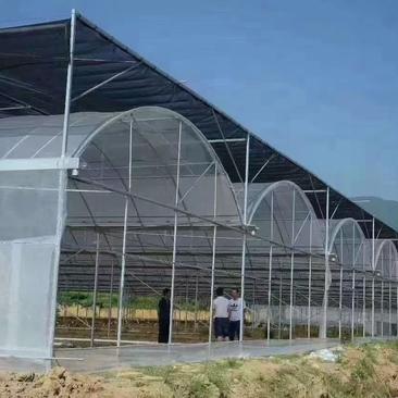天津优质养殖大棚，种植连体玻璃大棚规格齐全大量供应品质保障