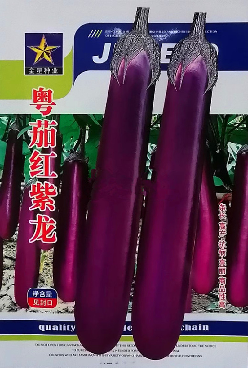 粤茄红紫龙紫红长茄种子杂交高产紫红茄子条长果型优美