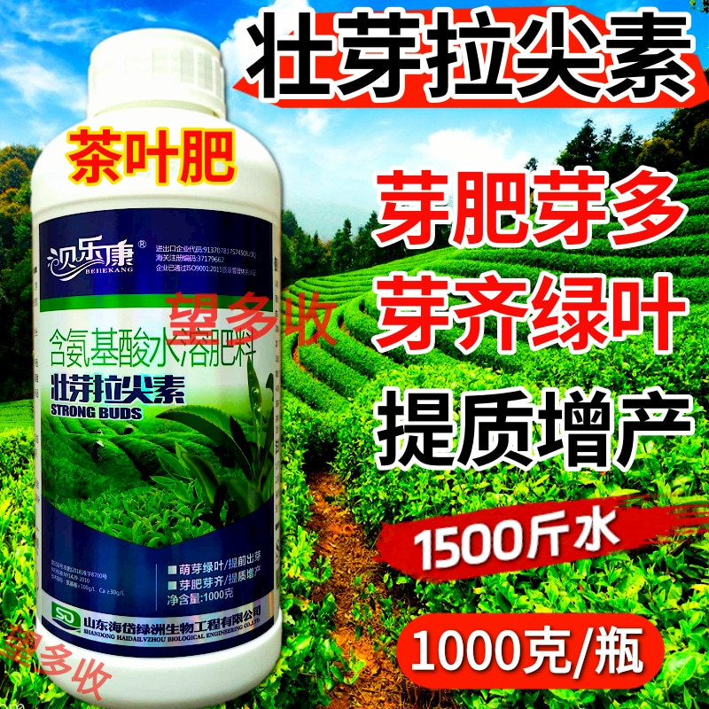 茶叶专用叶面肥茶叶壮芽拉尖素茶叶催芽增厚素1000克