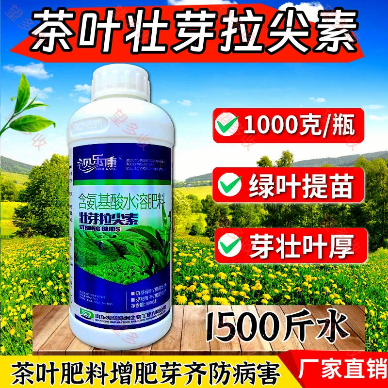 茶叶专用叶面肥茶叶壮芽拉尖素茶叶催芽增厚素1000克