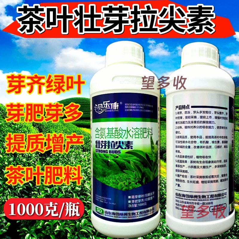 茶叶专用叶面肥茶叶壮芽拉尖素茶叶催芽增厚素1000克
