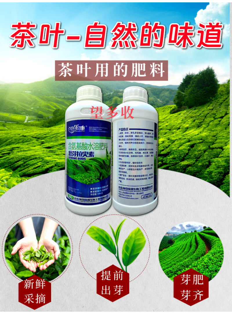 茶叶专用叶面肥茶叶壮芽拉尖素茶叶催芽增厚素1000克