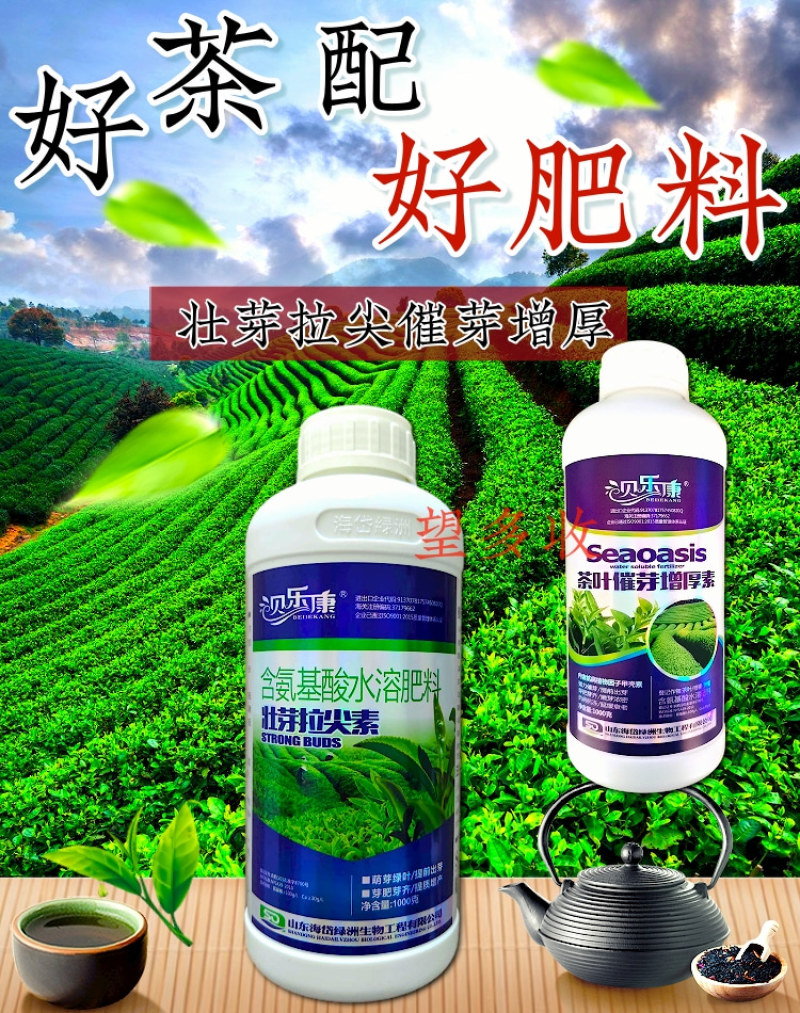 茶叶专用叶面肥茶叶壮芽拉尖素茶叶催芽增厚素1000克