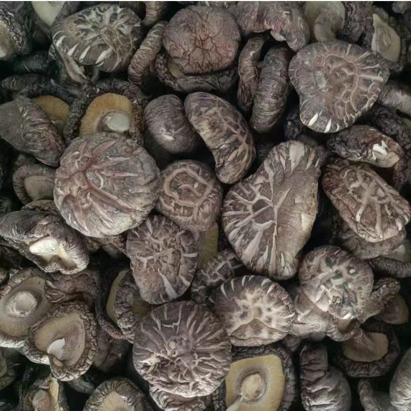 【精选】河南三门峡香菇-干香菇产地直发-量大从优-价格优惠