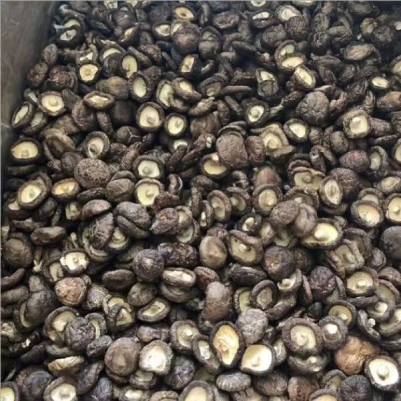 【精选】河南三门峡香菇-干香菇产地直发-量大从优-价格优惠