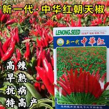 新一代中华红朝天椒种子，小米椒种子，色深油亮，高辣型