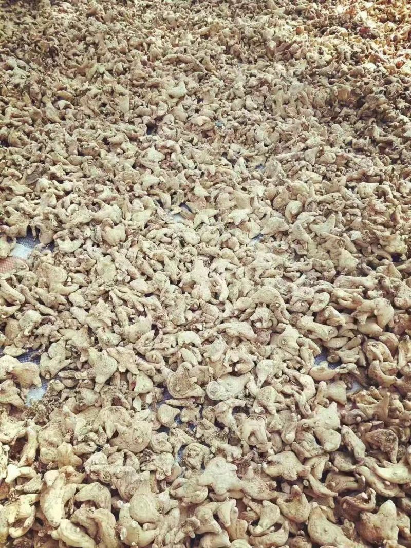 全网低价白芨货源充足随时畅聊供应