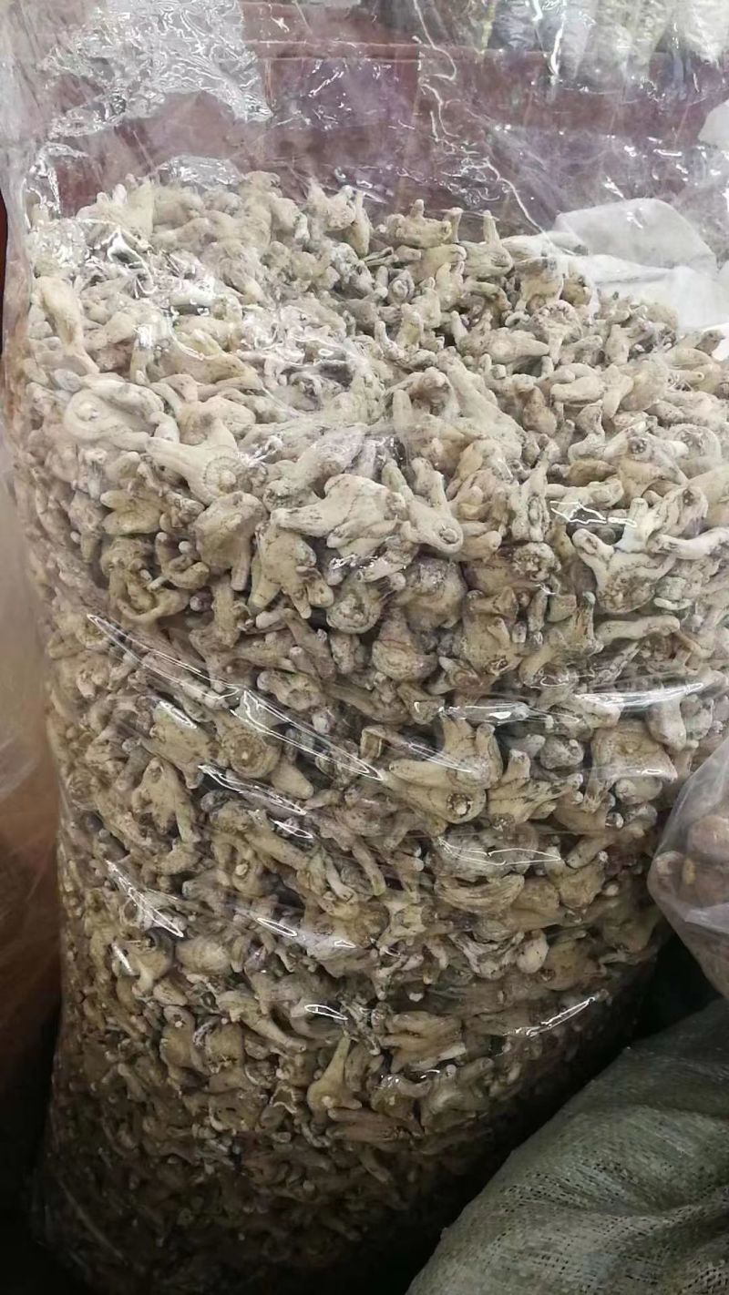 全网低价白芨货源充足随时畅聊供应