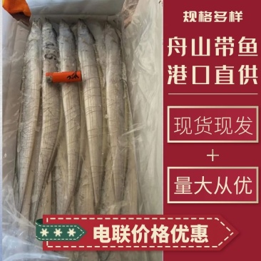 舟山带鱼超白规格多样港口直供货量大价格优电联采购