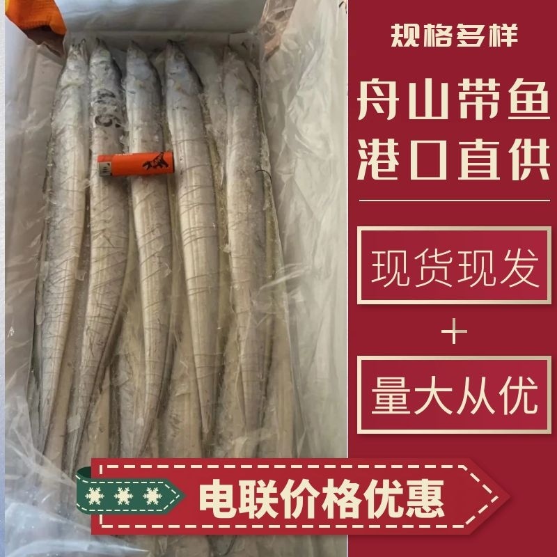 舟山带鱼超白规格多样港口直供货量大价格优电联采购