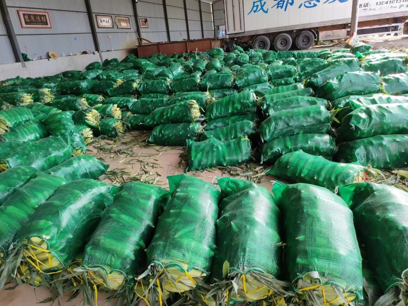 花超玉米云南玉米产地直供加工厂专用可视频看货电联
