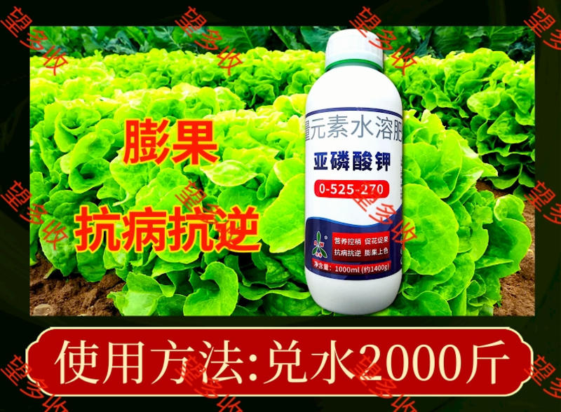 亚磷酸钾1400克控梢果树蔬菜膨果着色抗病提高抗逆防溃疡