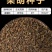 【推荐】安徽亳州供应新产柴胡种子种植基地一手货源价格稳定