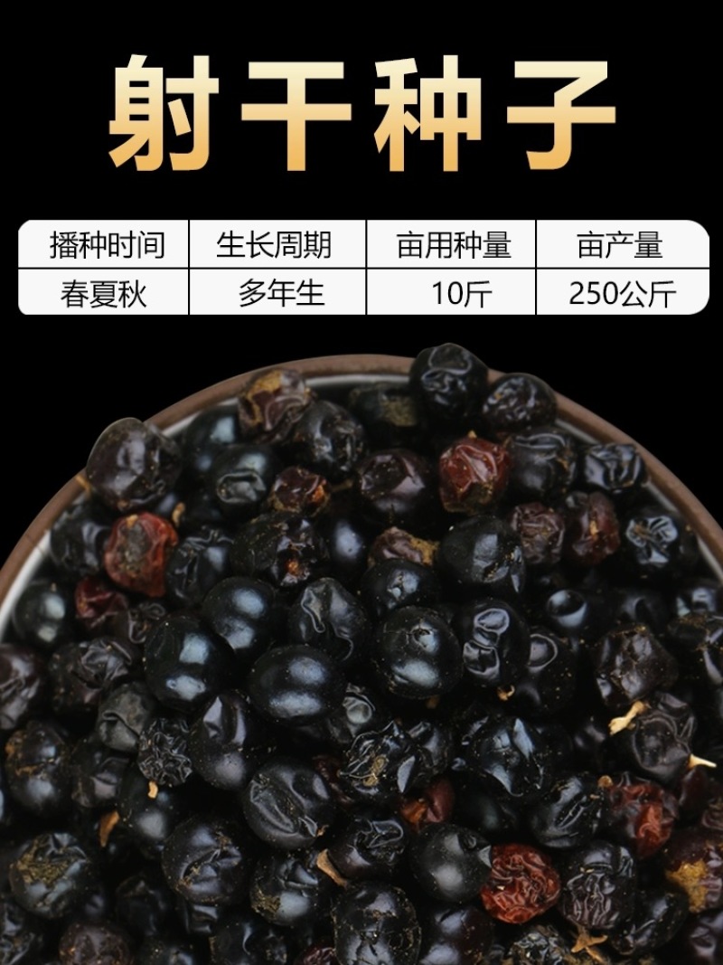 【推荐】安徽亳州新产射干种苗种植基地价格稳定全国市场发货