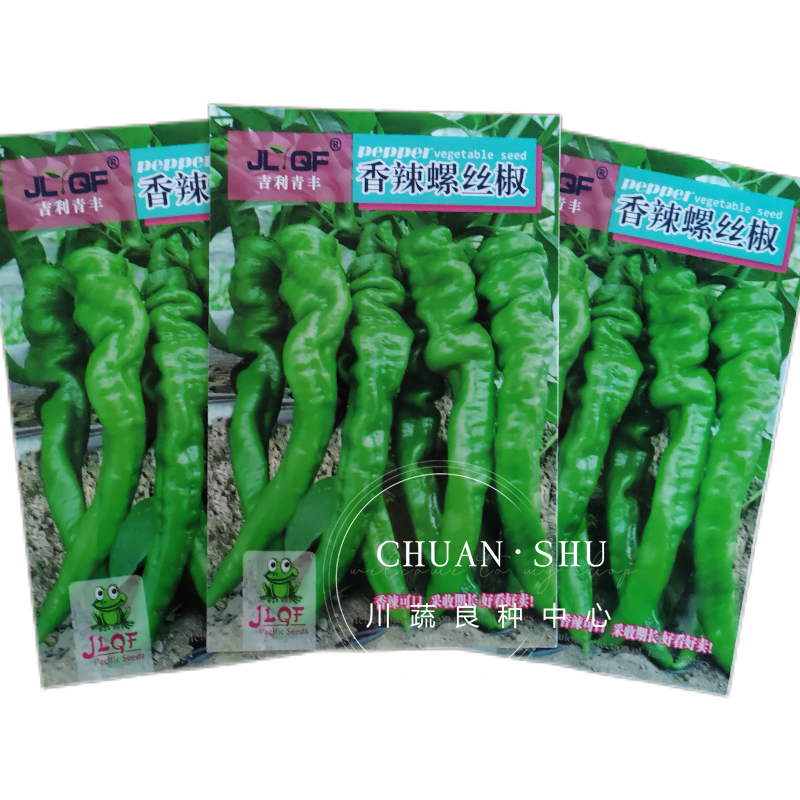 薄皮辣椒种子香辣螺丝椒种籽抗性好产量高蔬菜种子