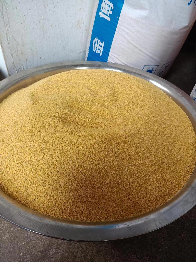 精品山西小米品质保证浓香可口大量上市对接电商批发商