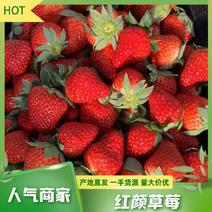 安徽优质草莓，口感甜美大量供应品质，可视频！