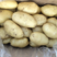 精品土豆新鲜的荷兰土豆大量供应产地直发对接商超市场