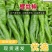 【热卖辣椒】兰陵县螺丝椒大量供货价格优惠欢迎来电咨询采购