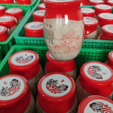 醪糟酒酿瓶装醪糟不添加防腐剂糯米发酵破损包赔多规格包装