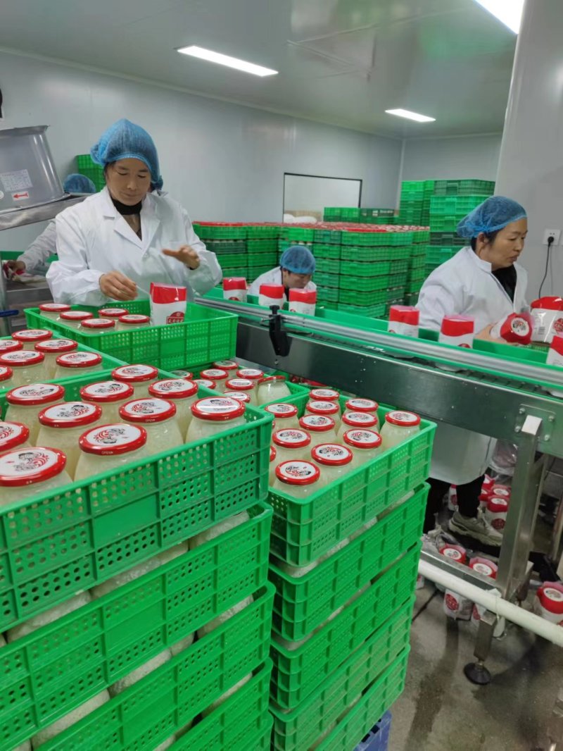 醪糟酒酿瓶装醪糟不添加防腐剂糯米发酵破损包赔多规格包装