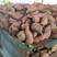 河南商薯19，产地直发全国市场，品质保证，欢迎来电