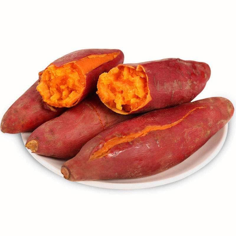 河南西瓜红，红薯品质保证，产地直发，欢迎大家来电咨询